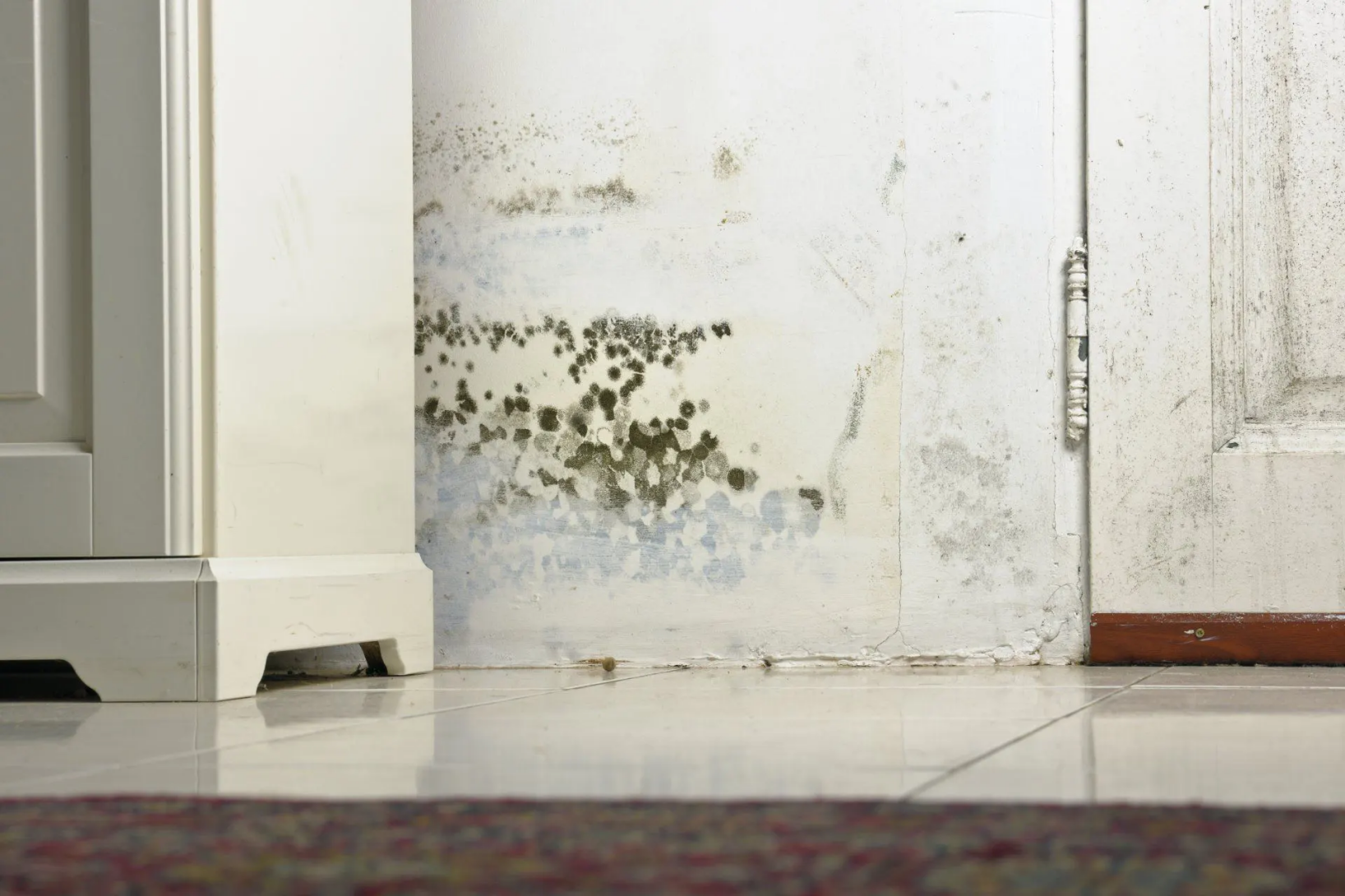 traitement humidité par assèchement des murs
